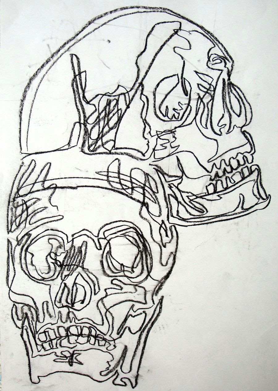 basic drawing 1 continuous contour skulls
