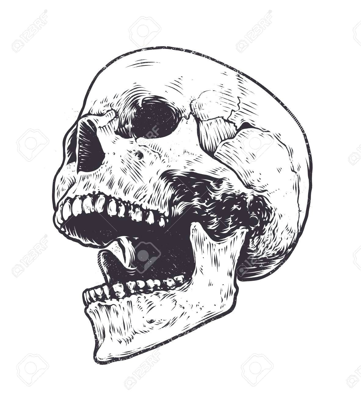 image result for skull open mouth drawing