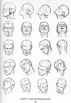 andrew loomis artwork male head drawing tutorial drawing faces neck drawing drawing men face
