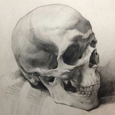 christopher pariano on instagram day job a demo piece done for private students at cheap joes art anatomy charcoal drawing skull