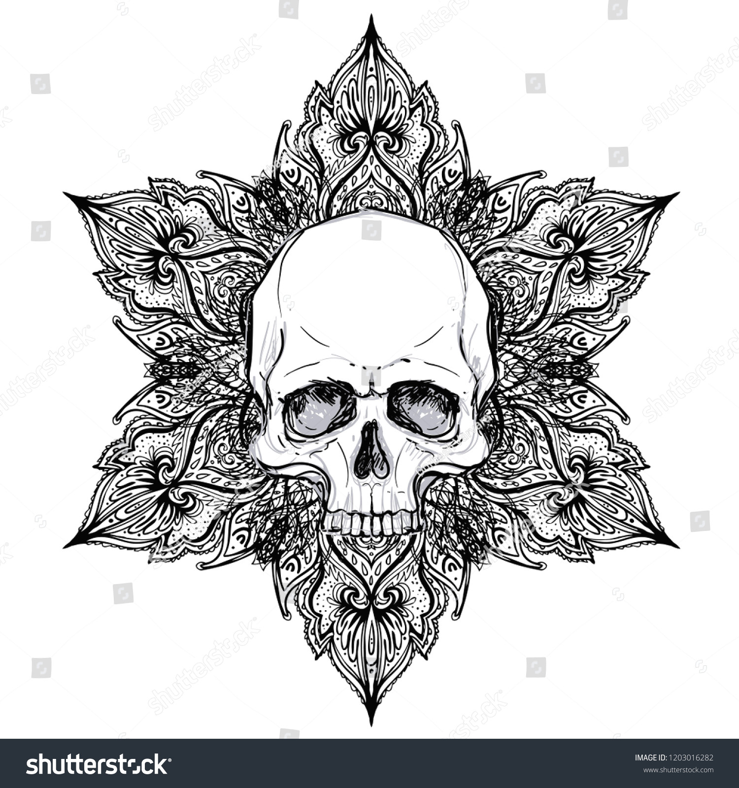 human skull and lotus over mandala inspired sacred geometry ayurveda symbol of harmony and balance