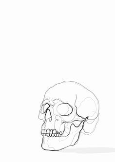 skull line drawing art print kerryn kisbey green line drawing art line drawings