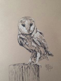 barn owl for 08 25 2015 14 x 11 charcoal on tan toned strathmore