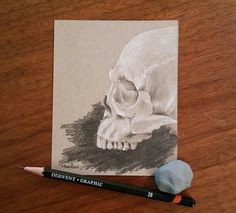 study of a human skull drawn with white charcoal and graphite drawn on strathmore toned tan paper acid free 80 lb measures 4 x 5 inches sprayed with