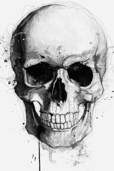 pirate tattoo skull illustration anatomy drawing