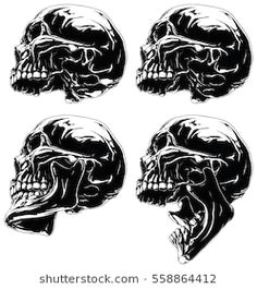 a vector illustration of detailed graphic black and white skull in profile projection set human