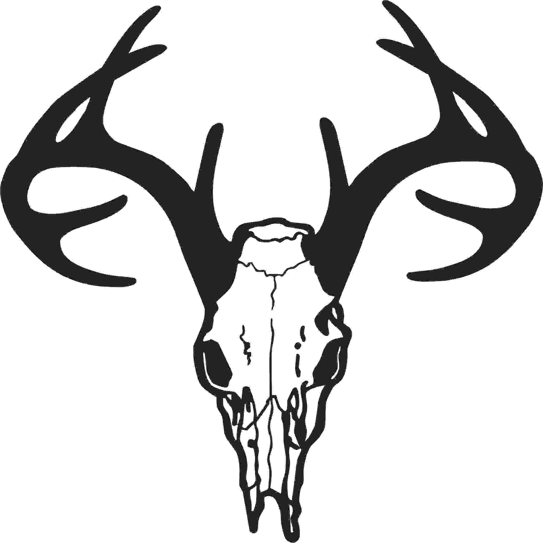 this is best deer skull clip art 14201 deer skull drawing free clipart images for your project or presentation to use for personal or commersial
