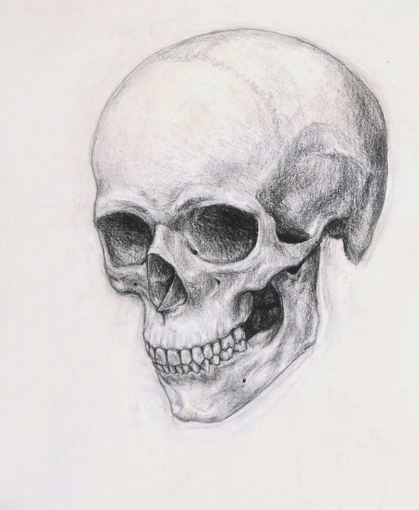 realistic skull drawing realistic skull drawing how to draw a skull online drawing lessons
