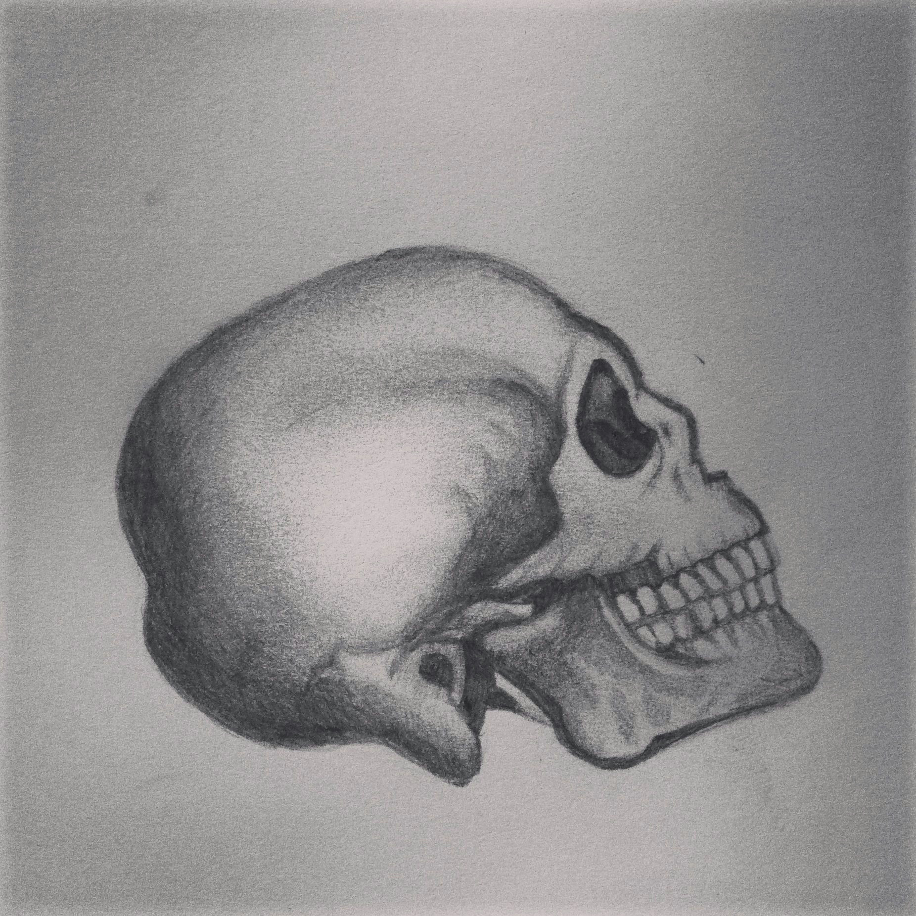 skull head pencil shading drawing sketch tattoo idea design art