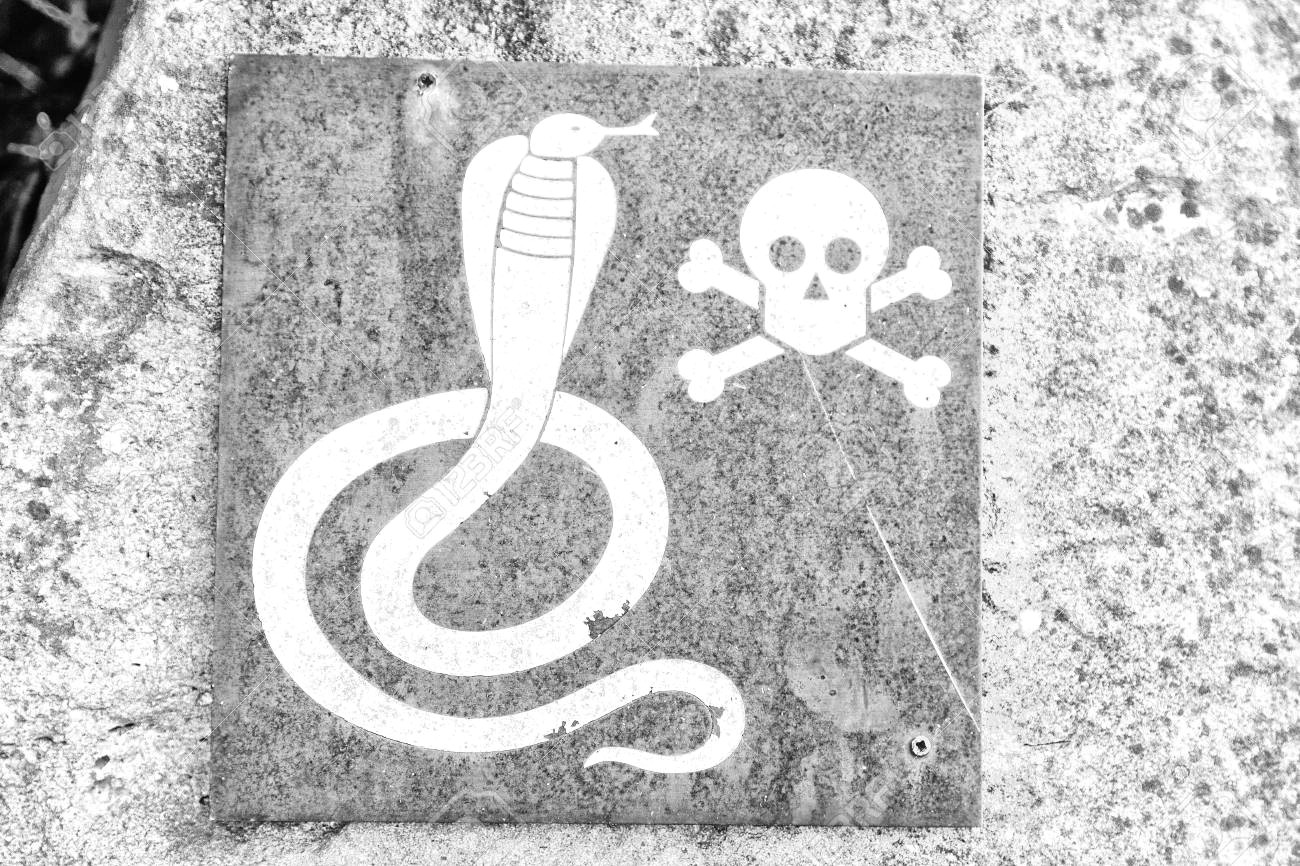 in south africa the metal signal of the danger for wild snake and the skull and