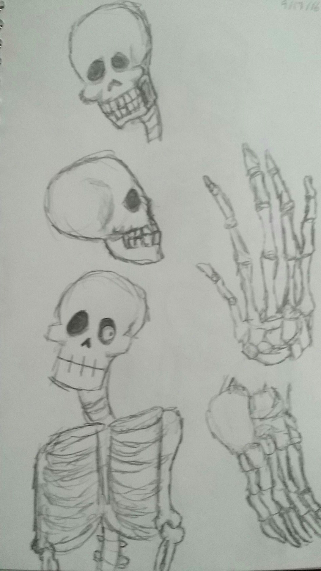 skeleton studies art 2d sketch sketchbook drawing illustration artist skeleton bones skull hand foot hands feet anatomy surreal
