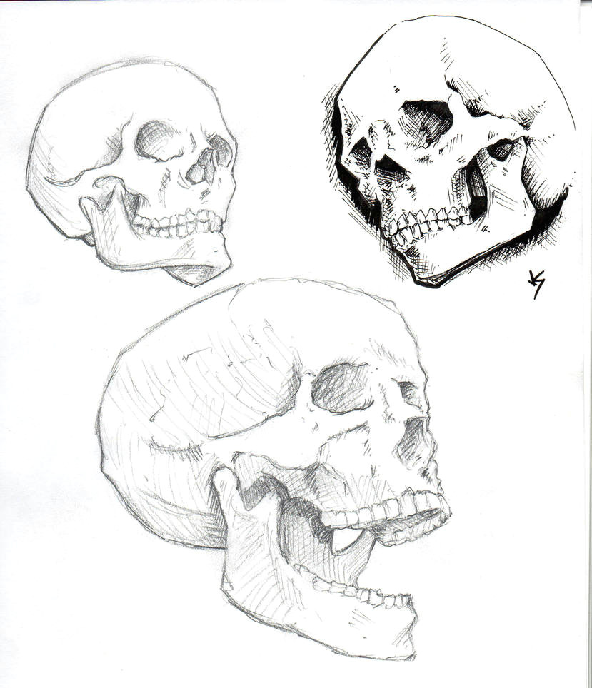 skull studies by od1nswrath