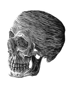 saved by mike mcquade mcquade on designspiration discover more skull art ross mccampbell inspiration