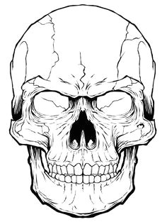 a time lapse of a vector illustration sugar skull art sugar skull stencil