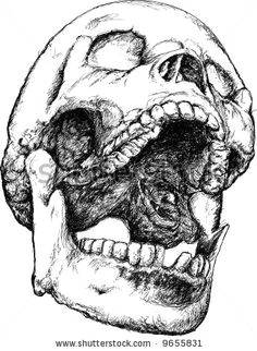 screaming skull skull open mouth ink pen drawings skull drawings crane skull