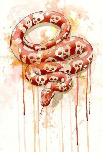 skull python