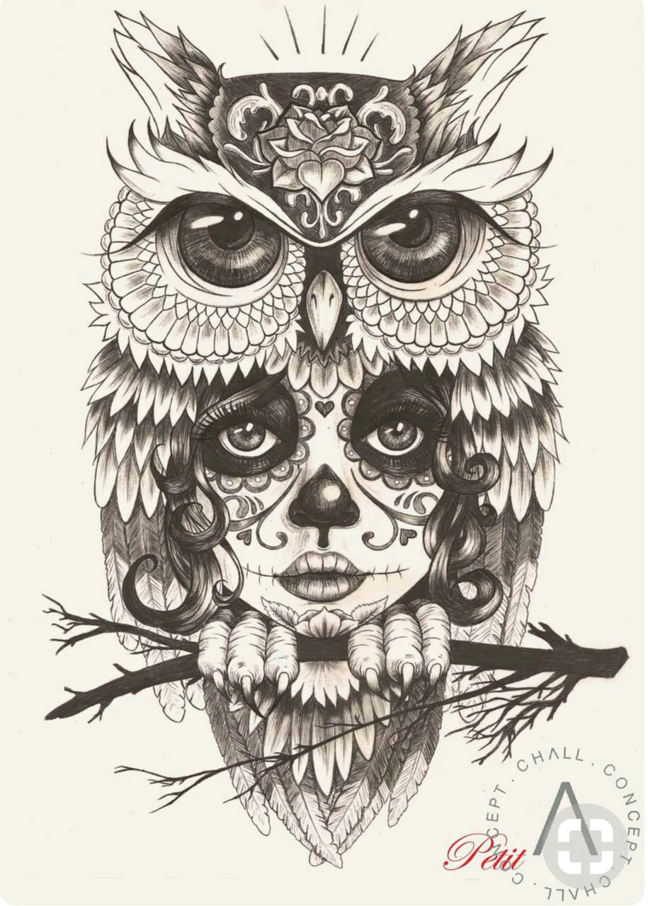 skull owl
