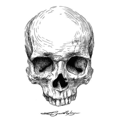 ilustracao illustration digitalart bw calavera caveira cranio skull skulltattoo tattoo ink darkarts darkartists mementomori