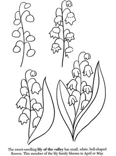 how to draw flowers easy flower drawings drawing flowers flower sketches easy drawings