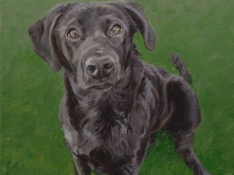 dog portrait painting of young labrador 10x12ins dogs cute pet portrait art pet painting timelapse labrador