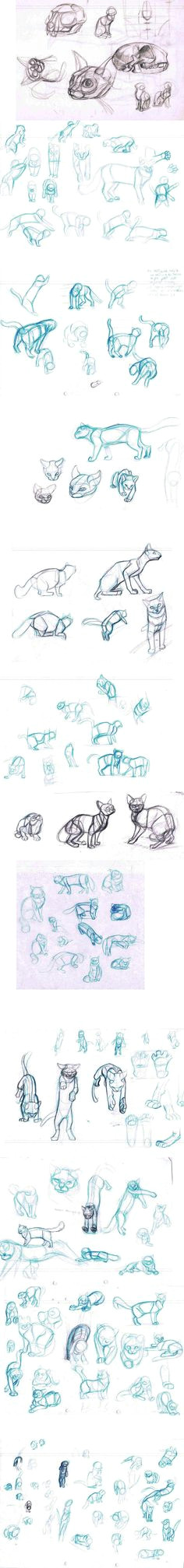 cat sketches