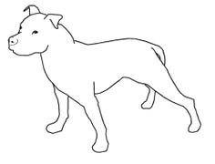 image result for draw staffy dog