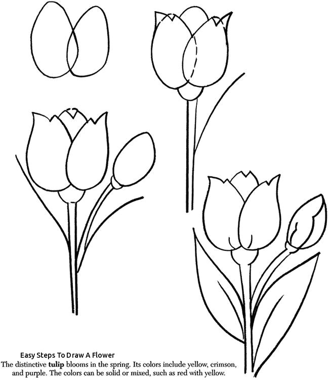 easy steps to draw a flower rose flower drawing step step at getdrawings