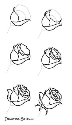 learn how to draw roses by following this great step by step how to draw flowers diythought
