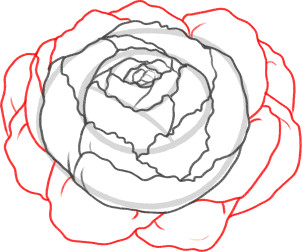 how to draw a peony peony flower step by step flowers pop culture free online drawing tutorial added by dawn february 14 2013 1 15 48 pm