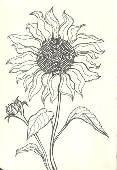 sad sunflower