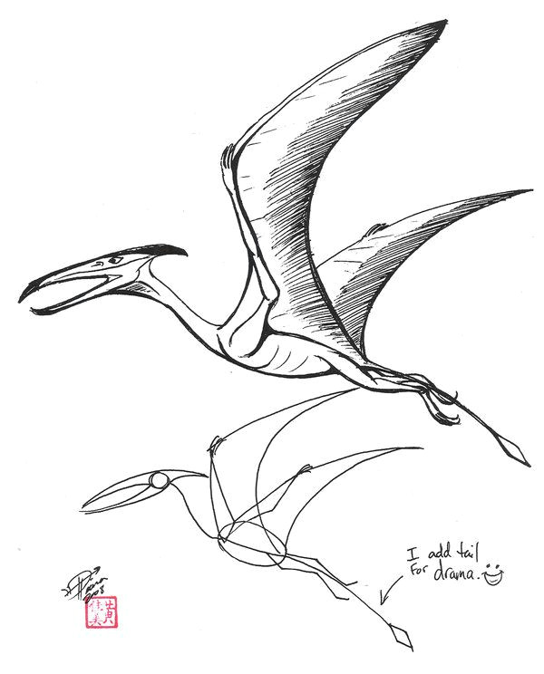 dinosaur pterodactyl drawing draw a pterosaur by diana dinosaur sketch easy dinosaur drawing dinosaur