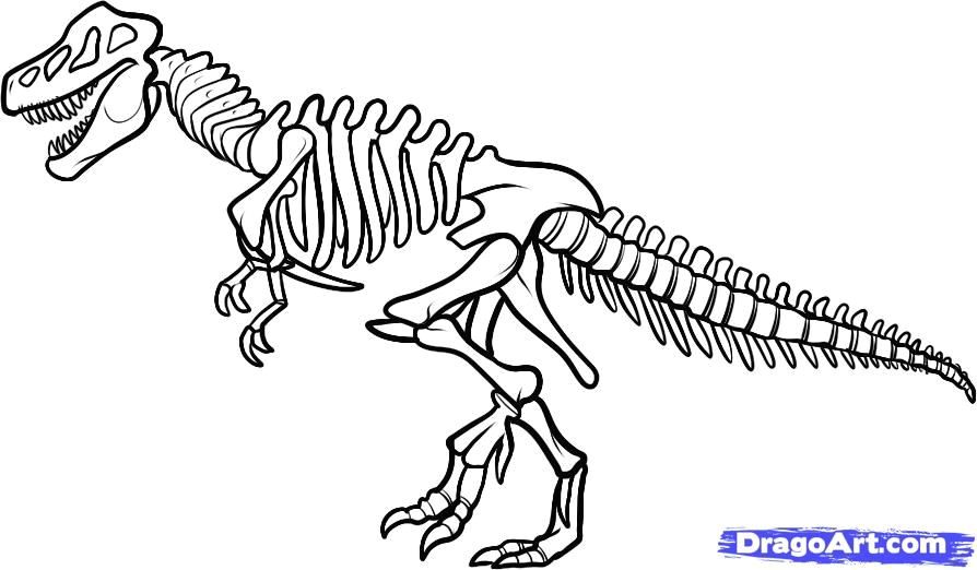 how to draw dinosaurs how to draw a dinosaur skeleton dinosaur skeleton step 9