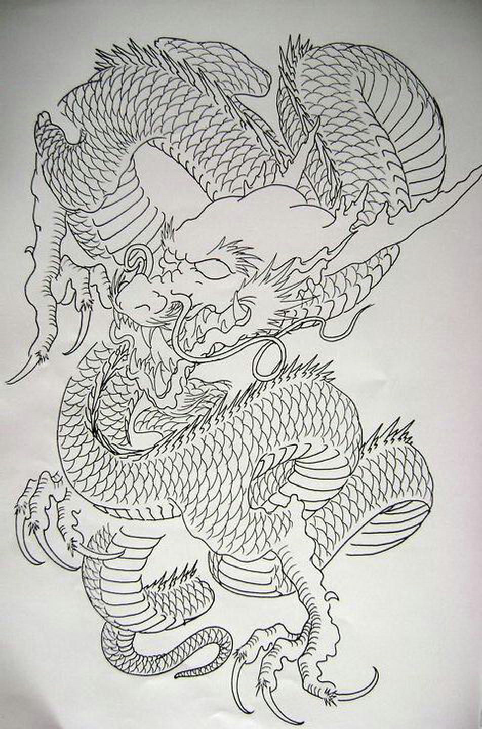 dragon 9 from my book