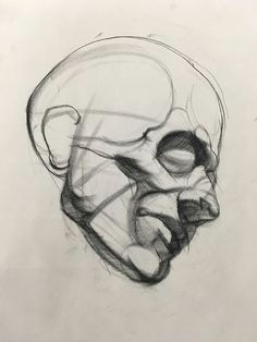 Tips for Drawing Human Skulls 175 Best Realistic Refs Images Anatomy Drawing Figure Drawing