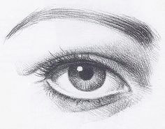 drawing eyes pencil drawing of an eye linear drawing eye pencil drawing contour