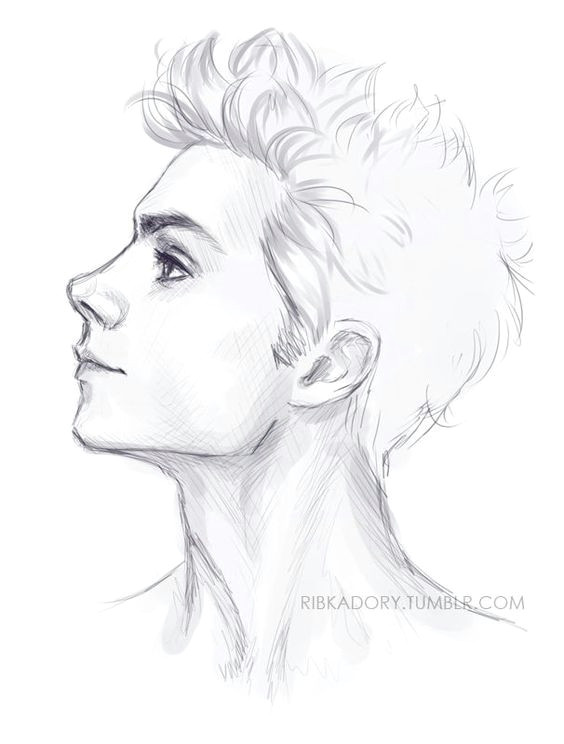 boy hair drawing male face drawing face sketch face side view drawing