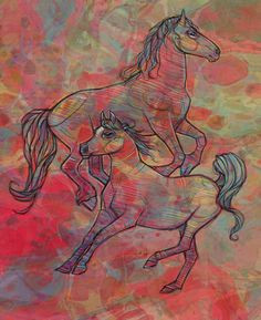horse illustration bialykots tumblr com