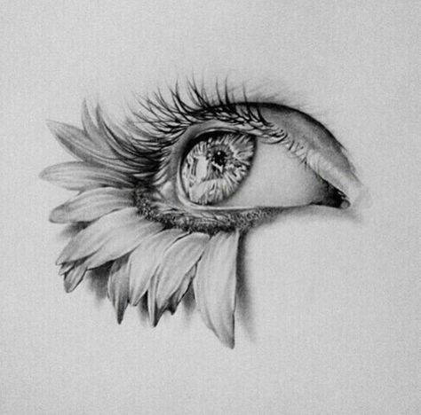 art eye flowers drawing sketch