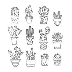 b w cactus drawing cute drawings tumblr line drawing tumblr line drawing tattoos flower