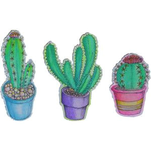 plants cactus transparent artists on tumblr cacti le pen