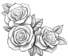 roses rose drawing tattoo s tattoo tattoo quotes tattoo drawings art drawings