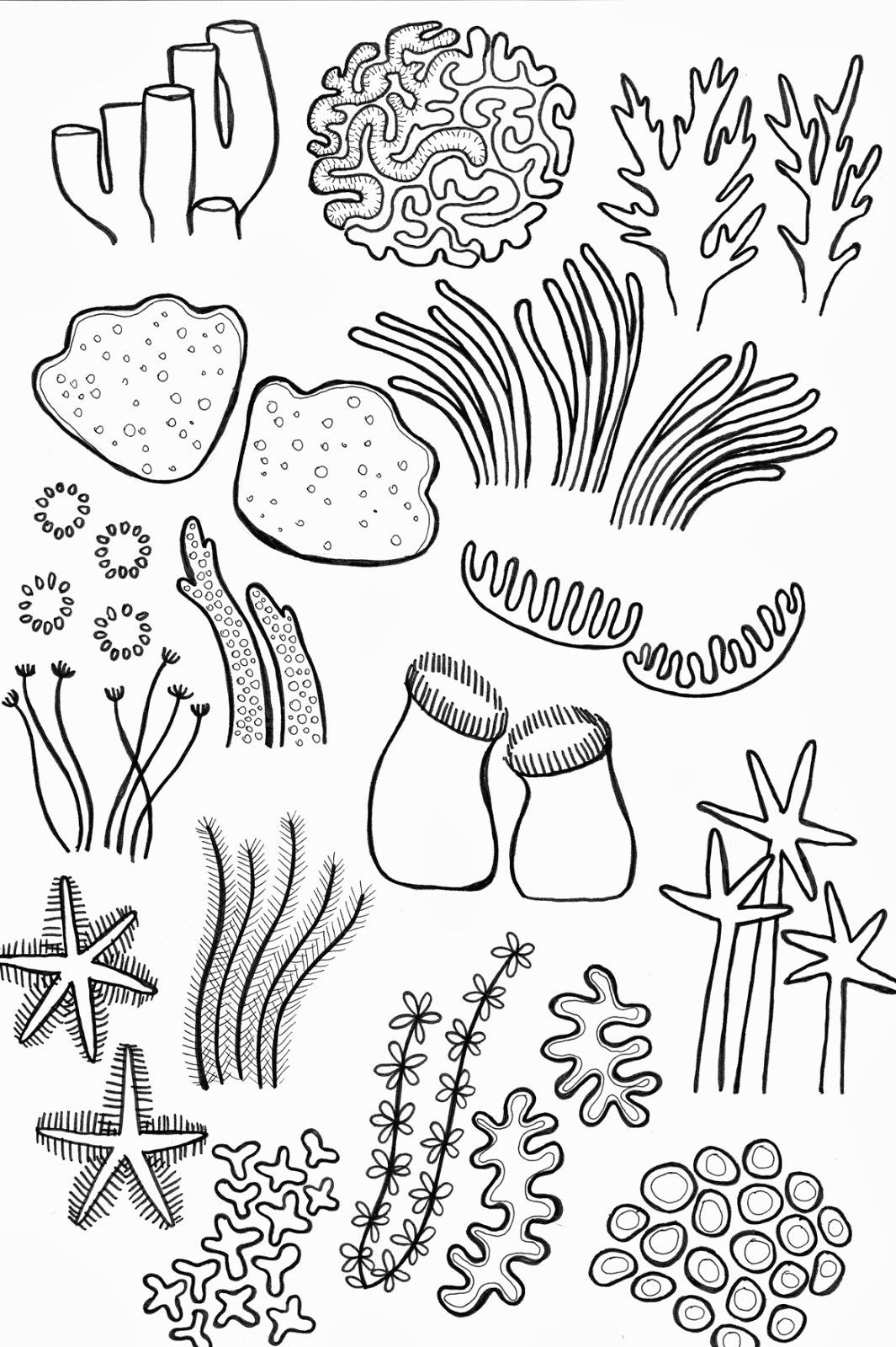 drawing underwater coral reef