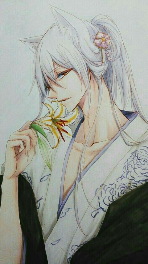 tomoe v