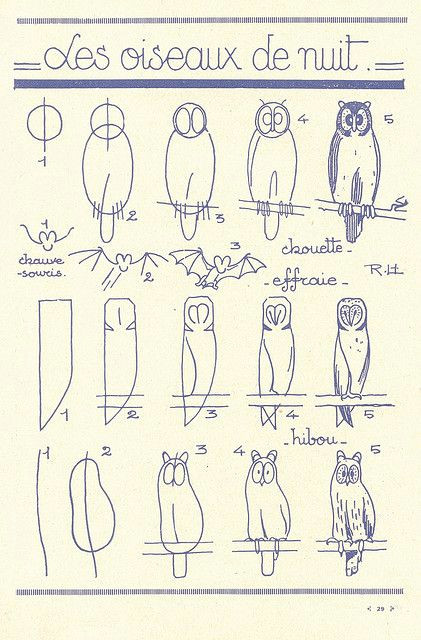 how to draw an owl