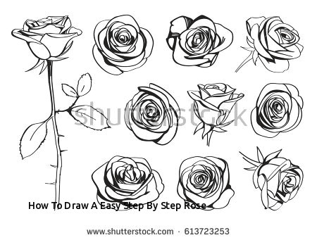 how to draw a easy step by step rose roses hand drawn set black line stock