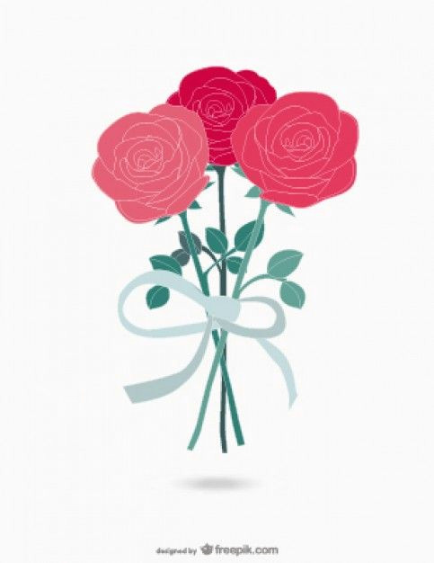 roses bouquet vector