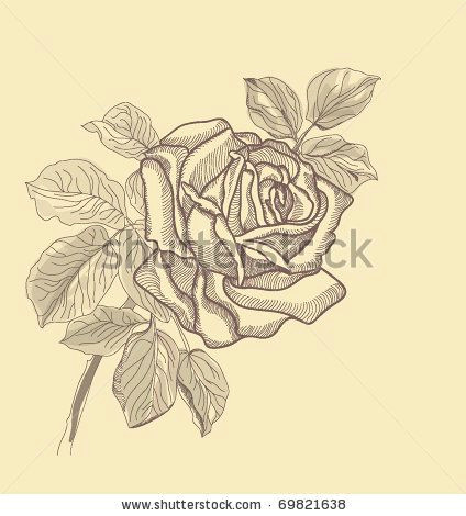 stock vector hand drawing rose card vector version eps 10 raster version