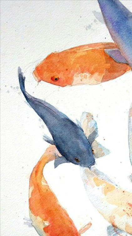 hand picked lockscreens koi tumblr watercolor art wallpaper prints painting