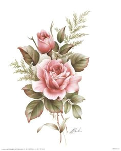 rose pencil drawings rose drawings drawing of a rose