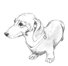 image result for dachshund pencil drawings dachshund drawing dachshund art wire haired dachshund